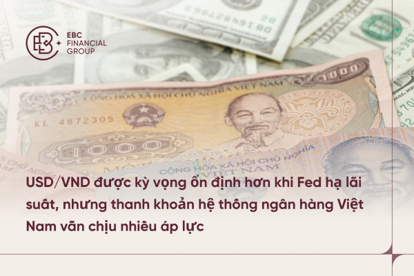 Tỷ giá USD/VND được dự báo ổn định nhờ chính sách cắt giảm lãi suất của Fed, thanh khoản ngân hàng Việt Nam chịu áp lực