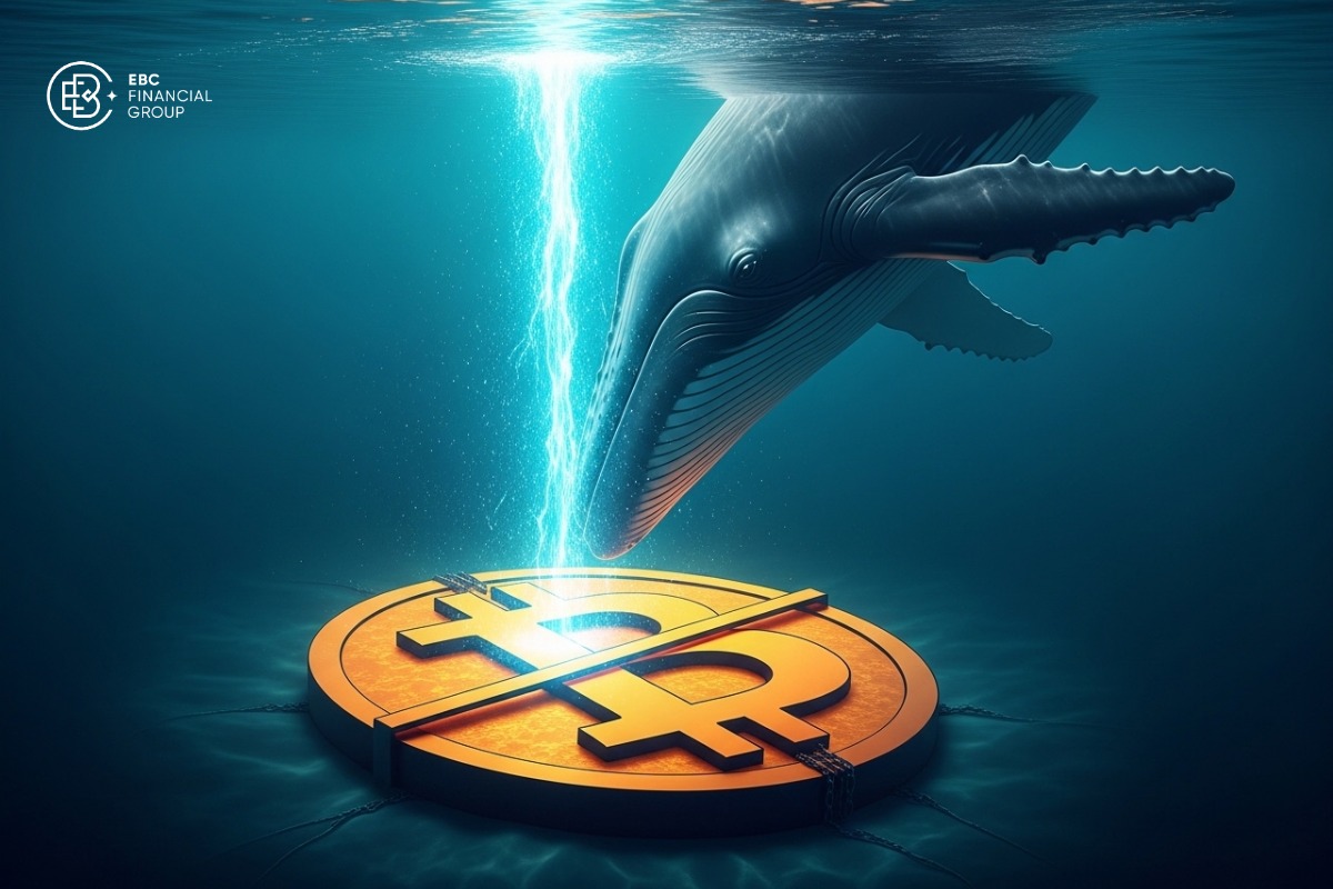 Giá Bitcoin hôm nay 13/1: Cá voi rót 1,25 tỷ USD, BTC vẫn “kẹt” dưới 95.000 USD