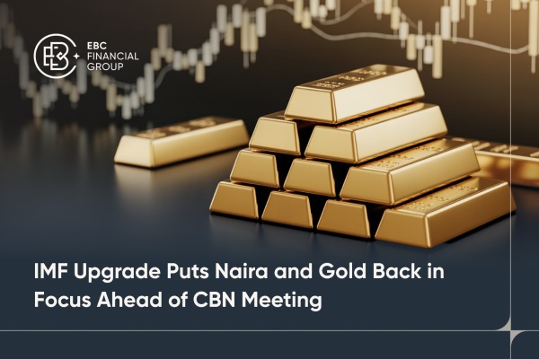 IMF Upgrade Puts Naira and Gold Back in Focus Ahead of CBN Meeting