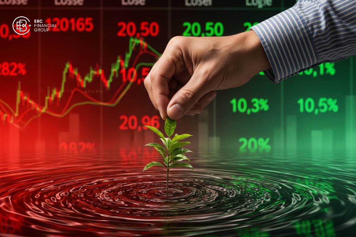 DGC giải trình 5 phiên sàn, thoát sàn nhờ bắt đáy